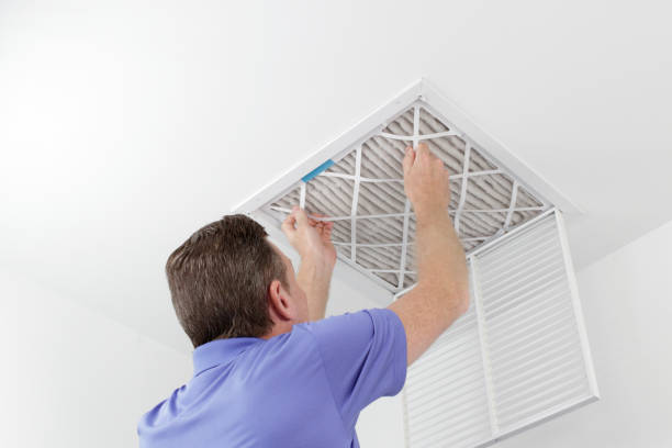 Best Dryer Vent Cleaning Services  in Crystal River, FL